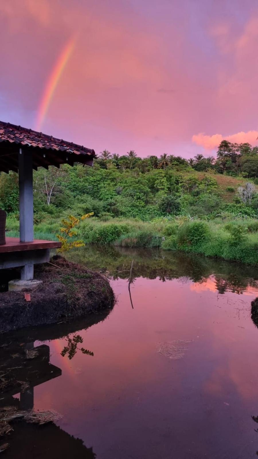 Laluna Eco Resort Pvt Ltd Beruwala Exteriér fotografie